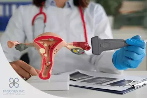 medical education ultrasound